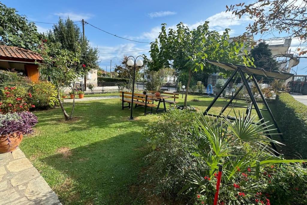 Sofias House Apartment Trikala (Thessaly)